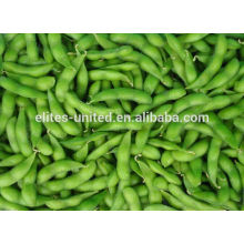 Chinese cultivation IQF frozen vegetable soybean